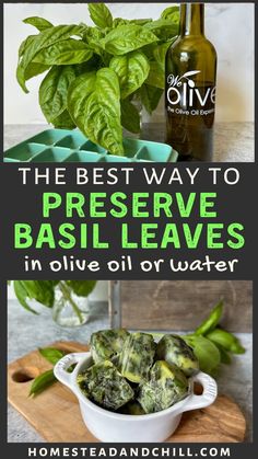 basil leaves in a white bowl next to a bottle of olive oil