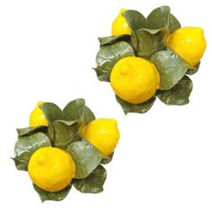 two yellow lemons with green leaves on white background