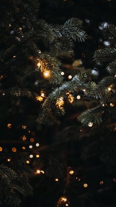 a close up of a christmas tree with lights on it