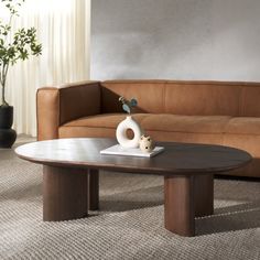 a living room with a couch, coffee table and potted plant in the corner