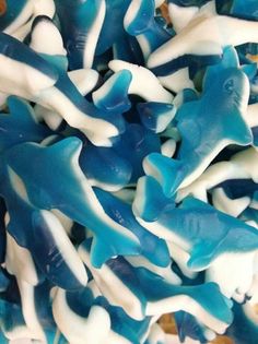 blue and white sea animals are stacked on top of each other in this close up photo