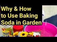 an image of how to use baking soda in the garden with pictures and text overlay