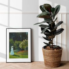 a potted plant sitting next to a framed painting