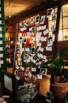 a table topped with pictures and photos next to a potted plant