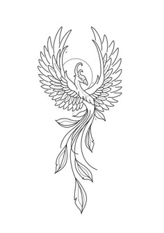 Creative Freedom on Paper: Learning to Draw Anything ✅(Follow This Link)✅ Phoenix Design Drawing, Feminine Pheonix Tattoo Design, Mystical Creature Tattoos, Feminine Tattoo Stencil, Phoenix Art Drawing, Phoenix Tattoo Design Feminine, Phoenix Stencil, Phoenix Outline, Feminine Phoenix Tattoo