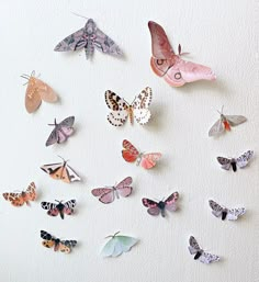 many different colored butterflies on a white wall