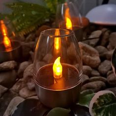 there are many lit candles in the glass vases on the rocks and plants behind them