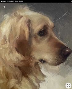 a painting of a golden retriever dog looking to the side with his eyes closed