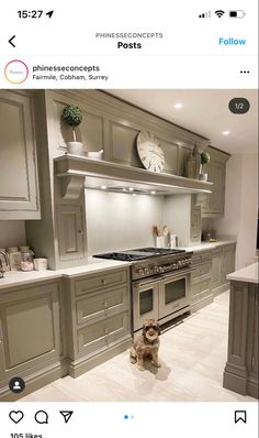 a dog standing in the middle of a kitchen next to an oven and stove top