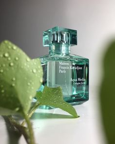 a bottle of perfume sitting on top of a table next to a green leafy plant