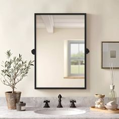 a bathroom sink with a mirror above it and a potted plant on the counter