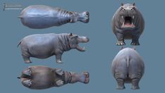 rhinoceros and hippopotamuss are shown in three different poses, including one with its mouth open