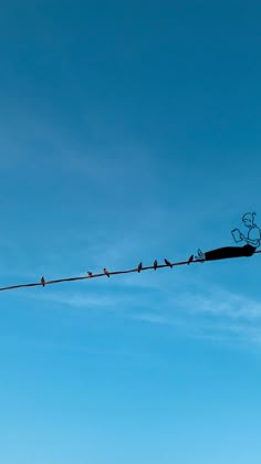 several birds sitting on top of a wire with blue sky in the backround