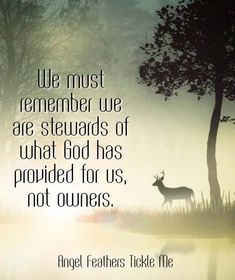 a deer standing next to a tree with the quote we must remember we are stewards of what god has provided for us, not owners