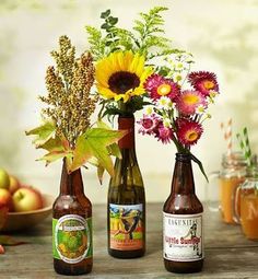 three beer bottles with flowers in them sitting on a table next to apples and an apple cider