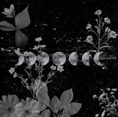 the phases of the moon in black and white with flowers on each side, as well as butterflies flying over them