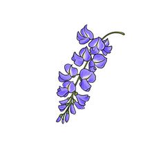 a purple flower on a white background is shown in this drawing, it appears to be an illustration