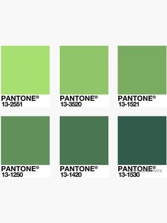 pantone's green color scheme with the names and colors for each one in it