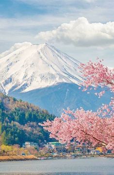 a mountain covered in snow next to a lake with pink flowers on the tree's branches