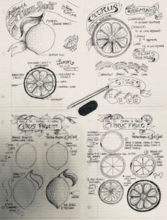 an image of various fruits and vegetables drawn in pencil on top of a piece of paper