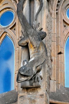 two lizards climbing up the side of a stone building with arched windows in the background