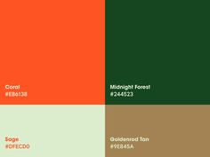 an orange, green and brown color scheme with the words midnight forest on each side