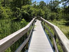 a wooden walkway in the middle of a grassy area