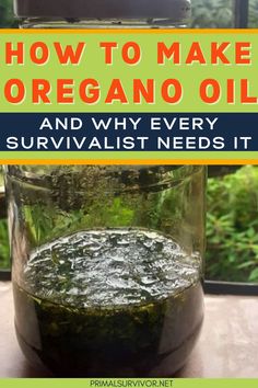 oregano oil in a jar Oil Of Oregano For Colds, Oregano Oil For Sore Throat, What To Do With Oregano, Oregano Oil Prepare, Oregano Oil Recipes, Diy Oregano Oil, Oregano Oil Uses, Make Oregano Oil, Herb Medicine