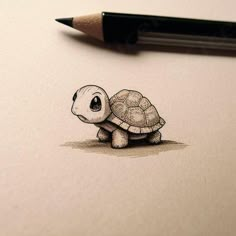 a drawing of a little turtle with a pencil in it's mouth, sitting on top of a piece of paper