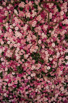 pink and white flowers are arranged in the shape of a tree