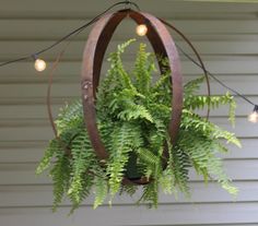 a potted plant hanging from a circular light fixture with string lights on the side