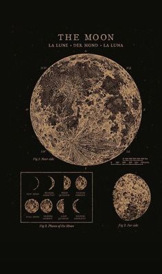 the moon is shown in black and gold on a black background, with other phases