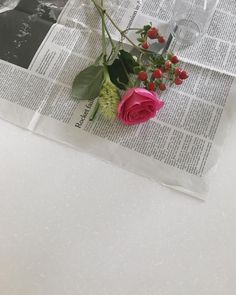 two roses are placed on top of a newspaper