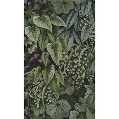 a painting of leaves and berries on a black background