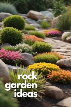 rock garden ideas with colorful flowers and rocks in the background text reads, rock garden ideas