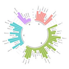 a circular diagram with different colored lines in the center and numbers on each side, all labeled