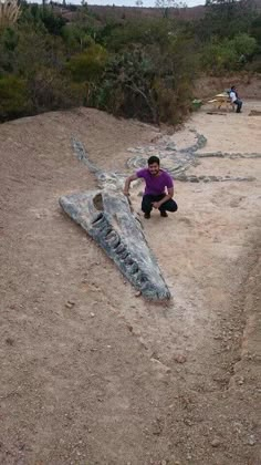 a man kneeling down next to an animal skull on top of a dirt hill with trees in the background