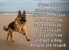 a german shepherd dog running on the beach with an inspirational quote about love and affection