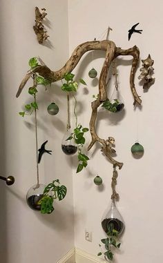 a tree branch with hanging plants and birds on it