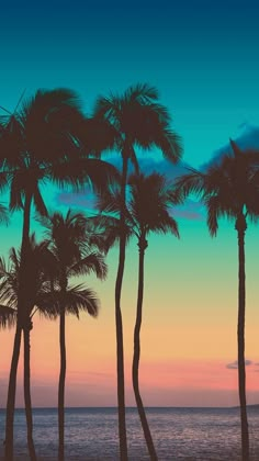 palm trees are silhouetted against an orange and teal sky at sunset on the beach