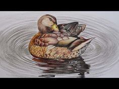 a drawing of a duck in the water