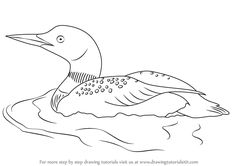 a black and white drawing of a duck floating on top of water with its head turned to the side