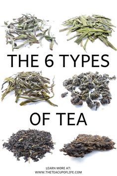 six types of tea with the words, the 6 types of tea written below them