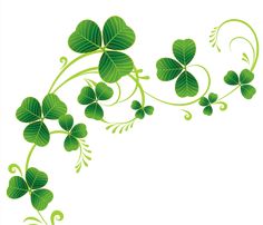 four leaf clovers with swirly vines and leaves