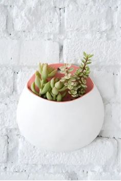 Wall-mounted white pot with green succulents against a white brick wall. Clay Handbuilding, Diy Wall Planter, Vertical Wall Planter Pots, Vertical Garden Planters, Hanging Wall Planters, Vertical Wall Planters, Vertical Garden Indoor, Wall Planters, Diy Air Dry Clay