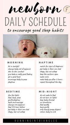 a baby's birth schedule with the words newborn, daily schedule to encourages good sleep habit