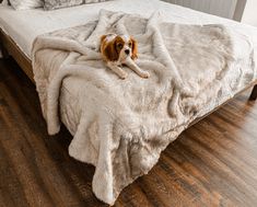 a dog laying on top of a bed covered in a blanket