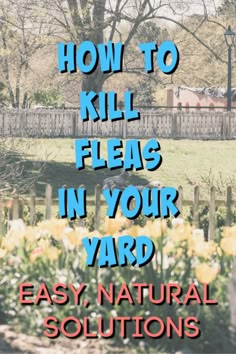 the words how to kill fleas in your yard easy natural solution for lawn maintenance