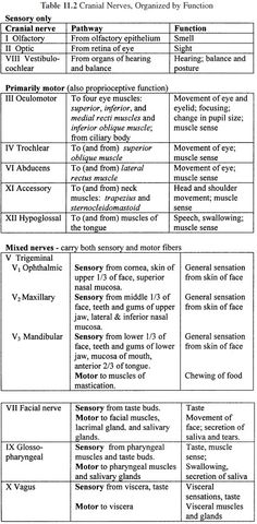 the table is shown with several different types of text and numbers on it, including