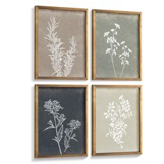 three framed flowers are shown on the wall